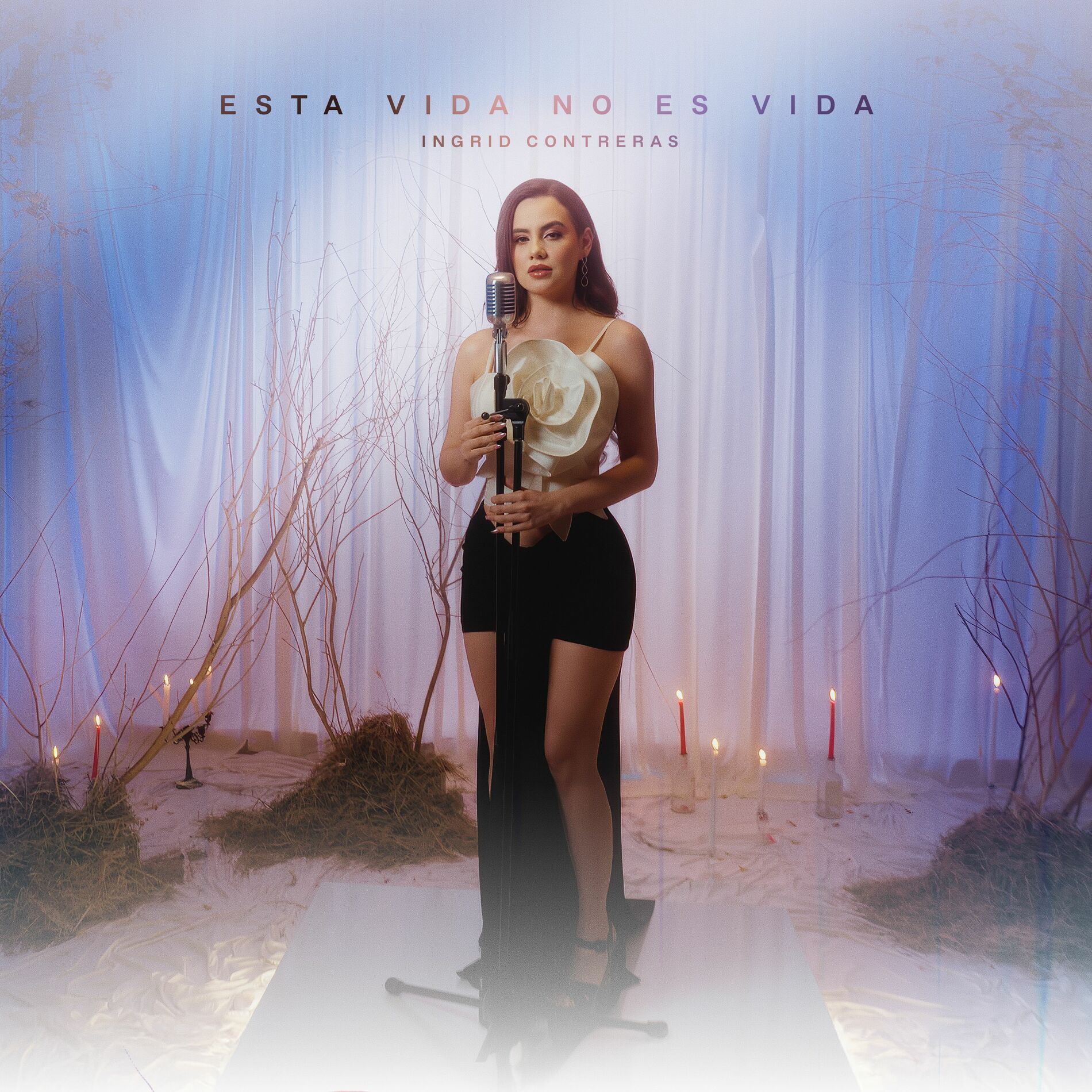Album cover of Esta Vida No Es Vida