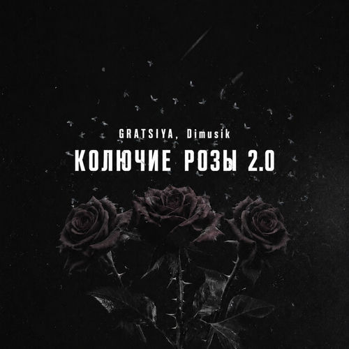 Колючие розы 2.0