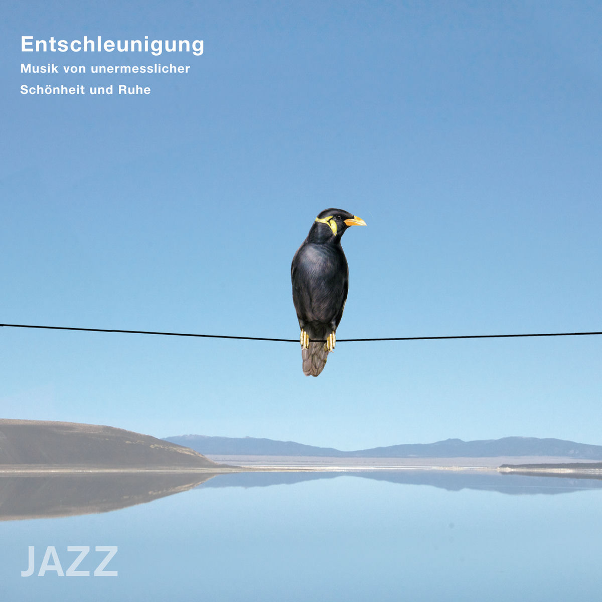 Album cover of Entschleunigung - Musik von unermesslicher Schönheit und Ruhe (Jazz)