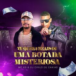 Cover of Tu Quer 2 Reais ou uma Botada Misteriosa