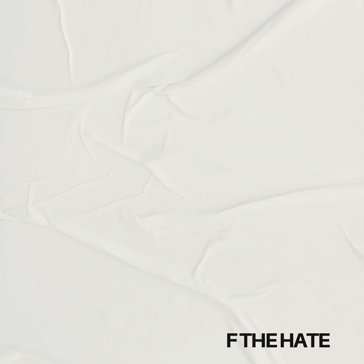Album cover of F THE HATE