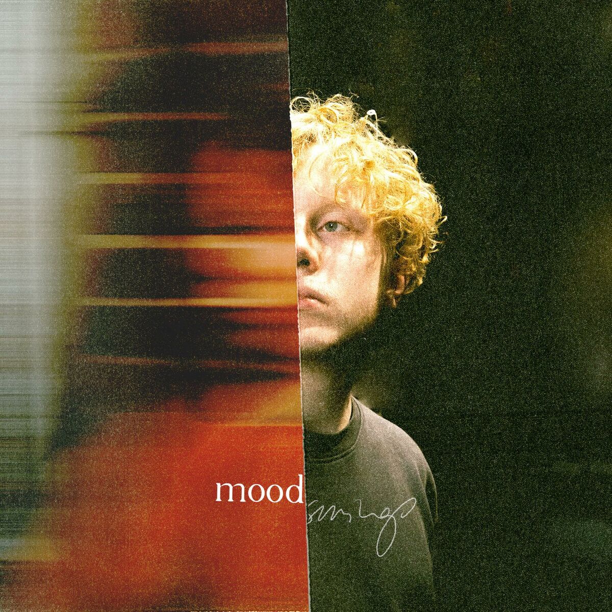 Album cover of moodswings