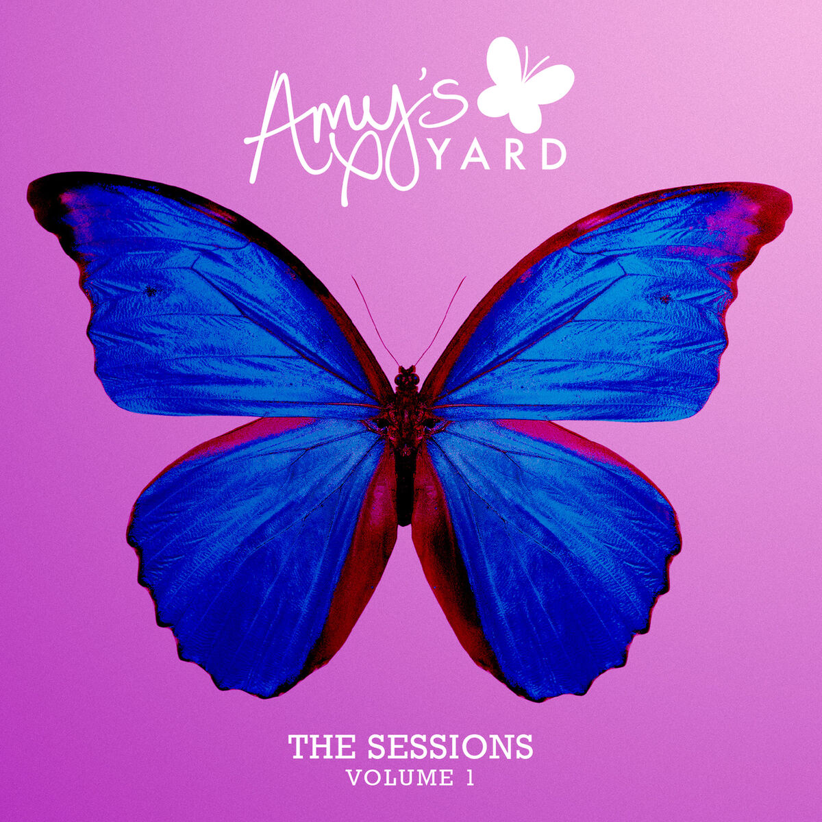Album cover of Amy’s Yard: The Sessions
