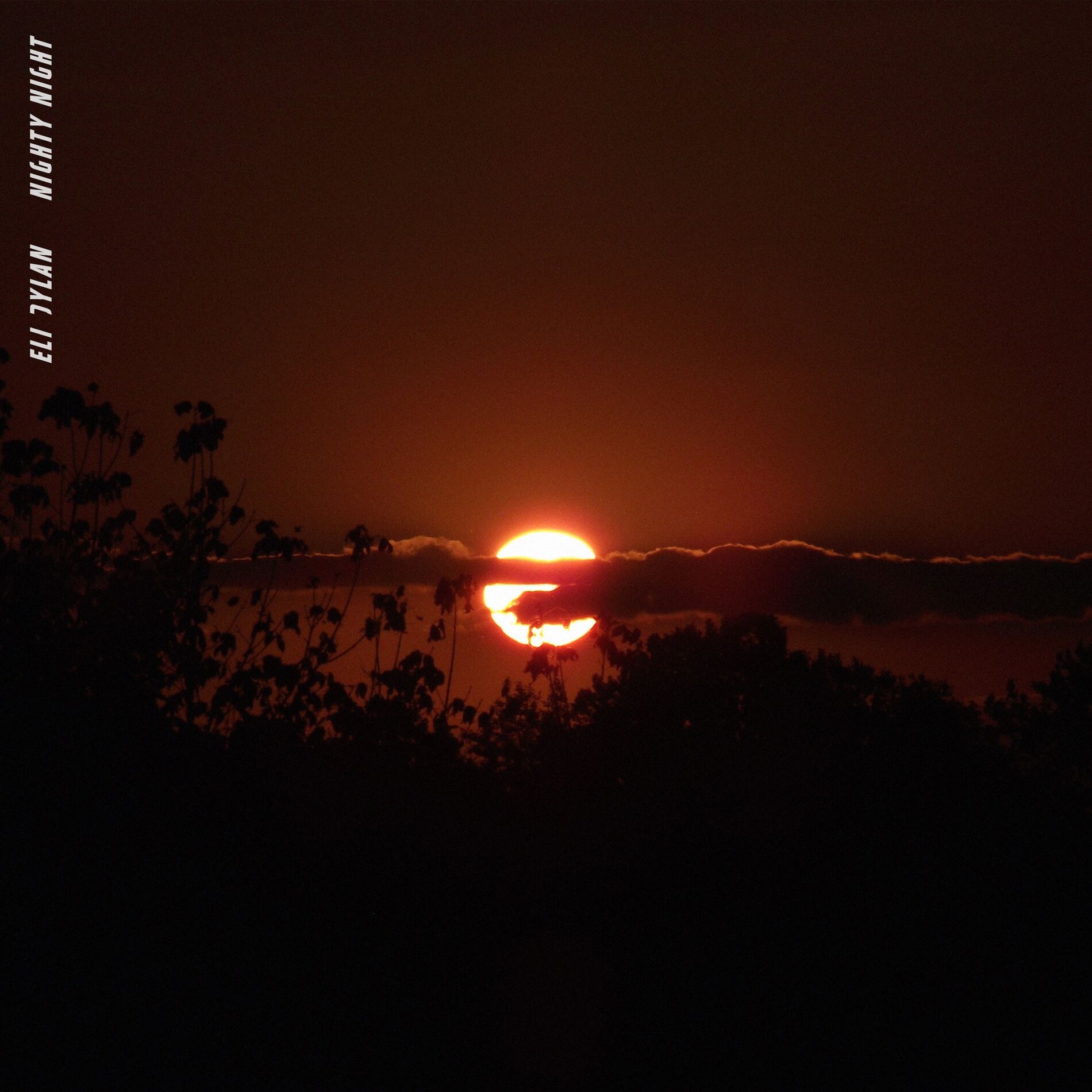 Album cover of Nighty Night