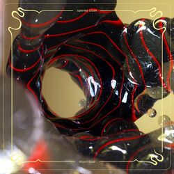 Cover of Opened Close