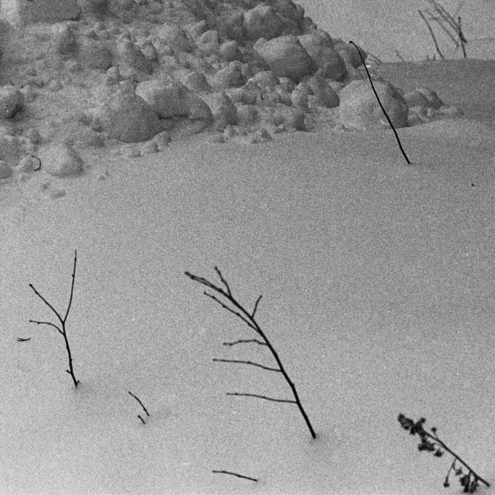 Picture of 22