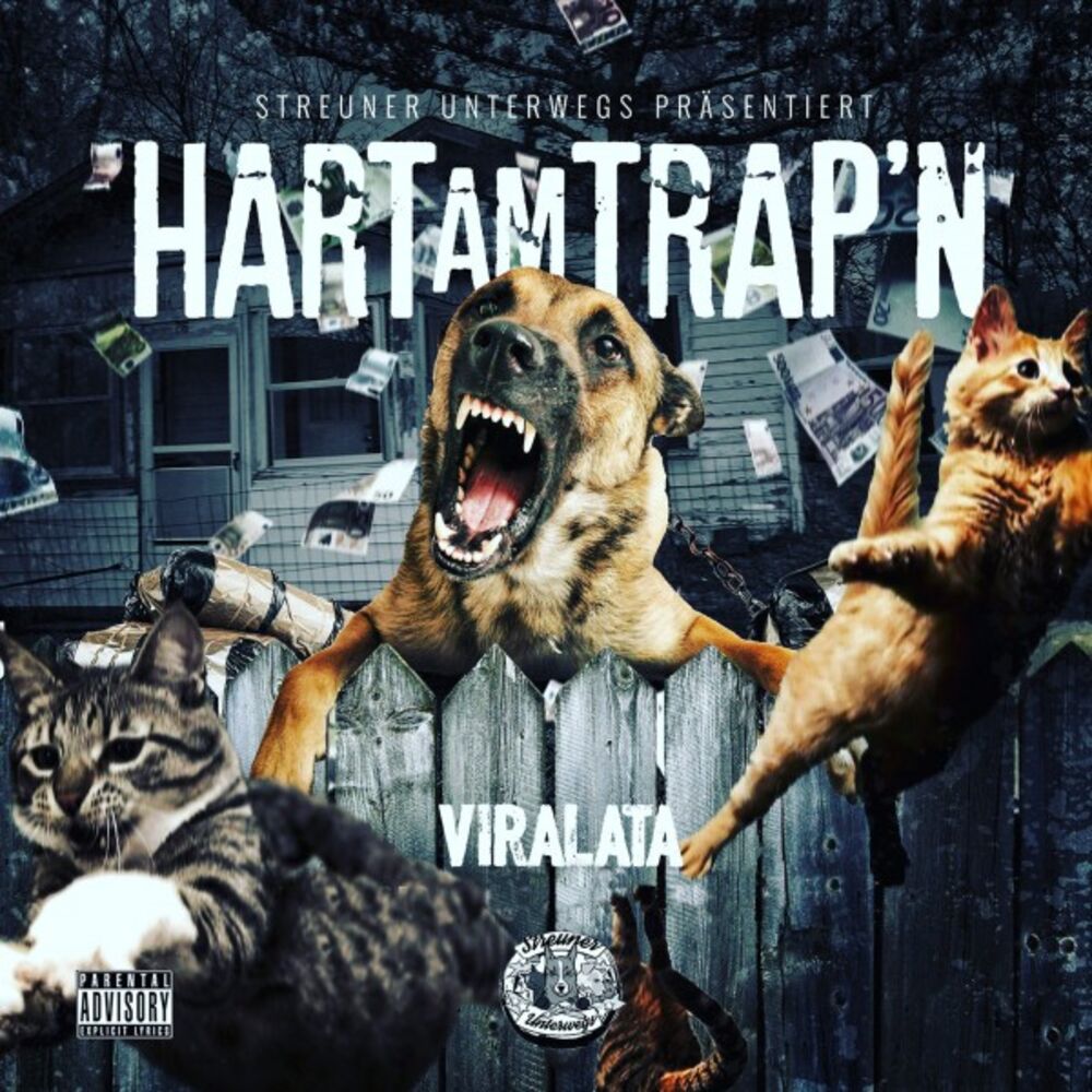 Picture of Hart am Trap'n