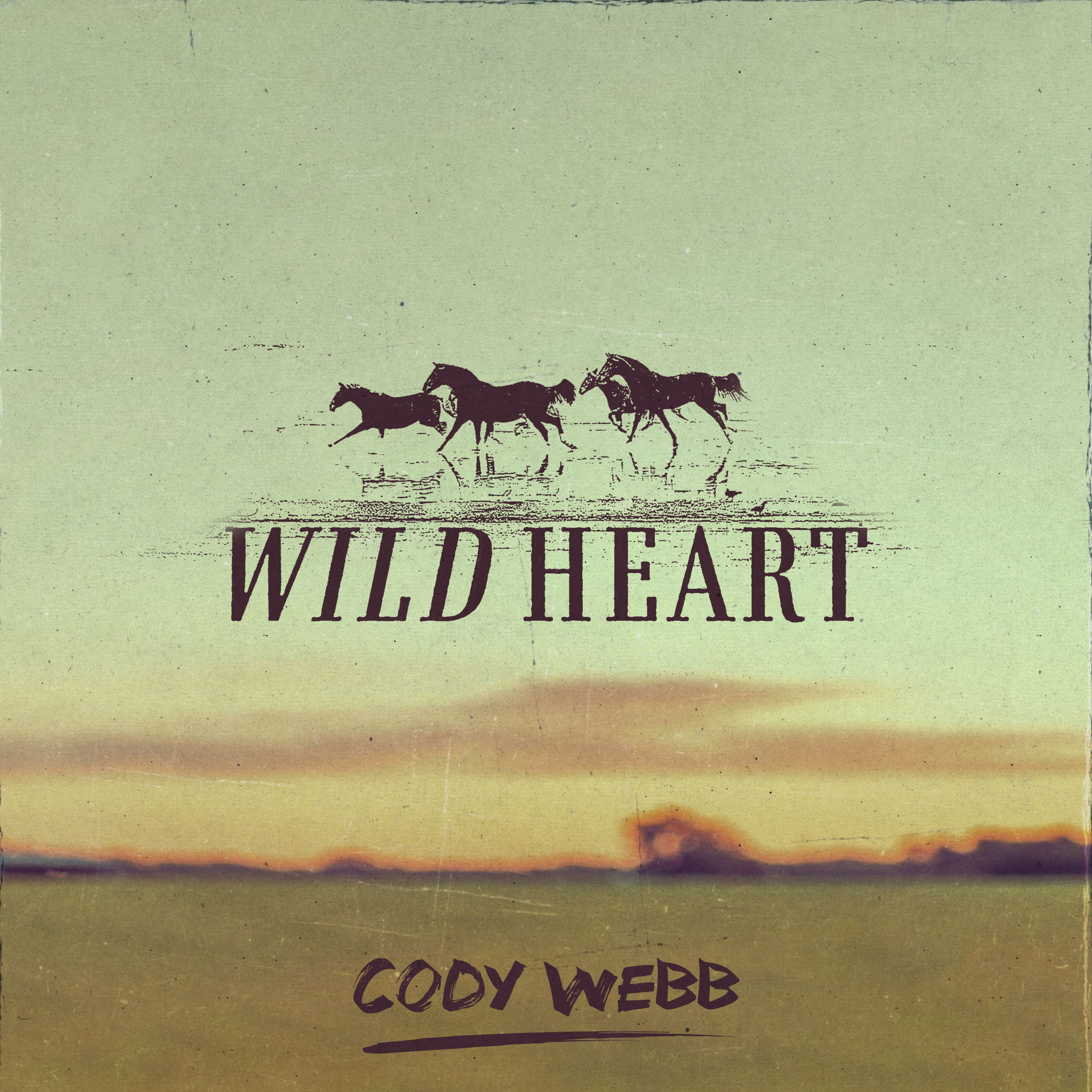Album cover of Wild Heart