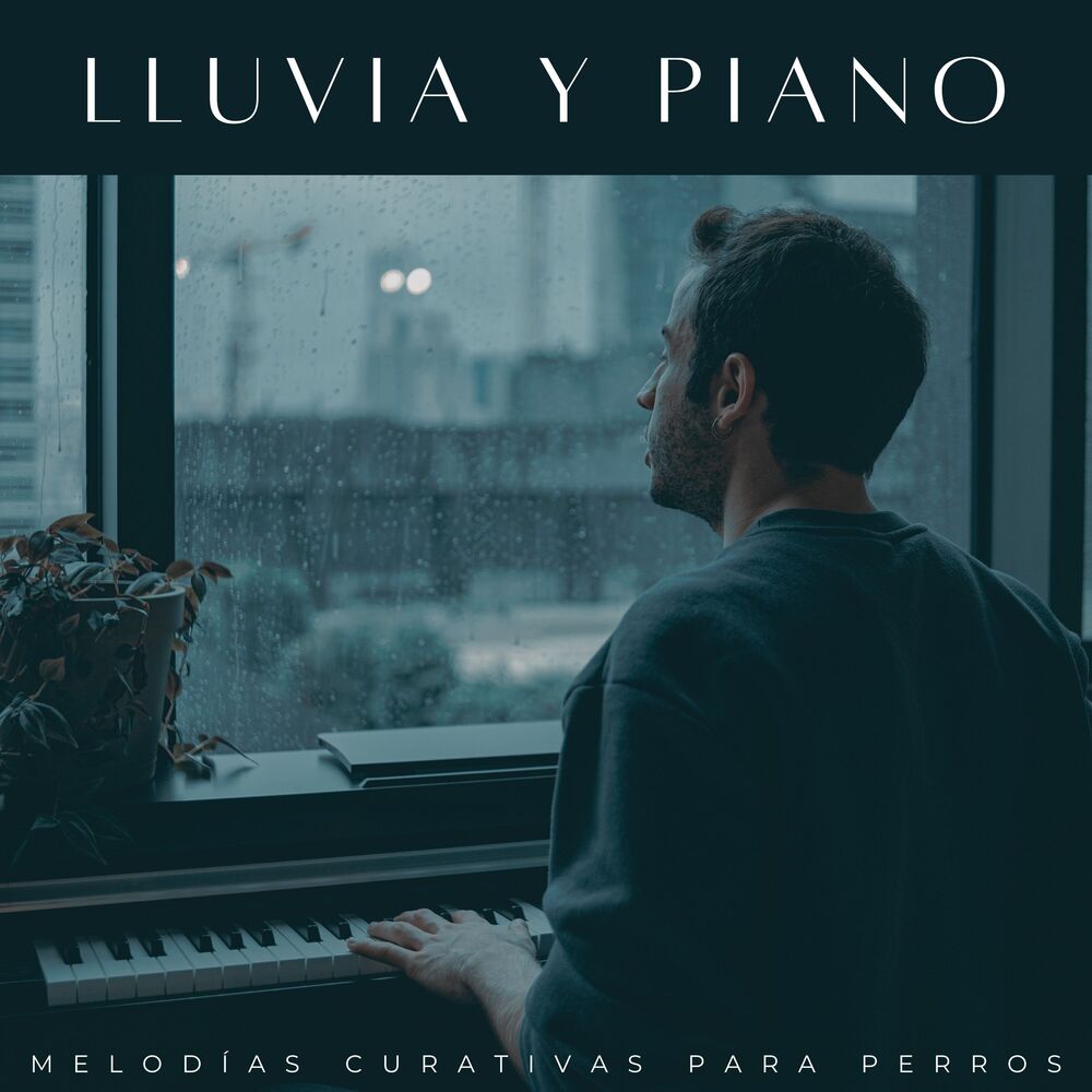 Picture of Lluvia Y Piano: Melodías Curativas Para Perros