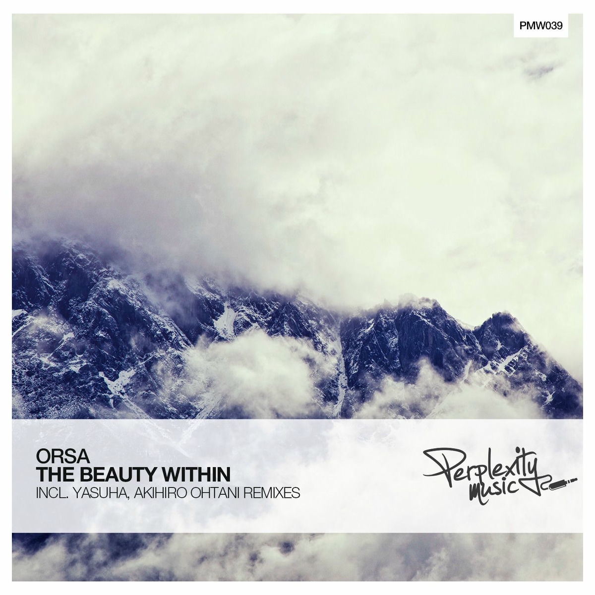 Album cover of The Beauty Within