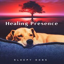 Cover of Healing Presence