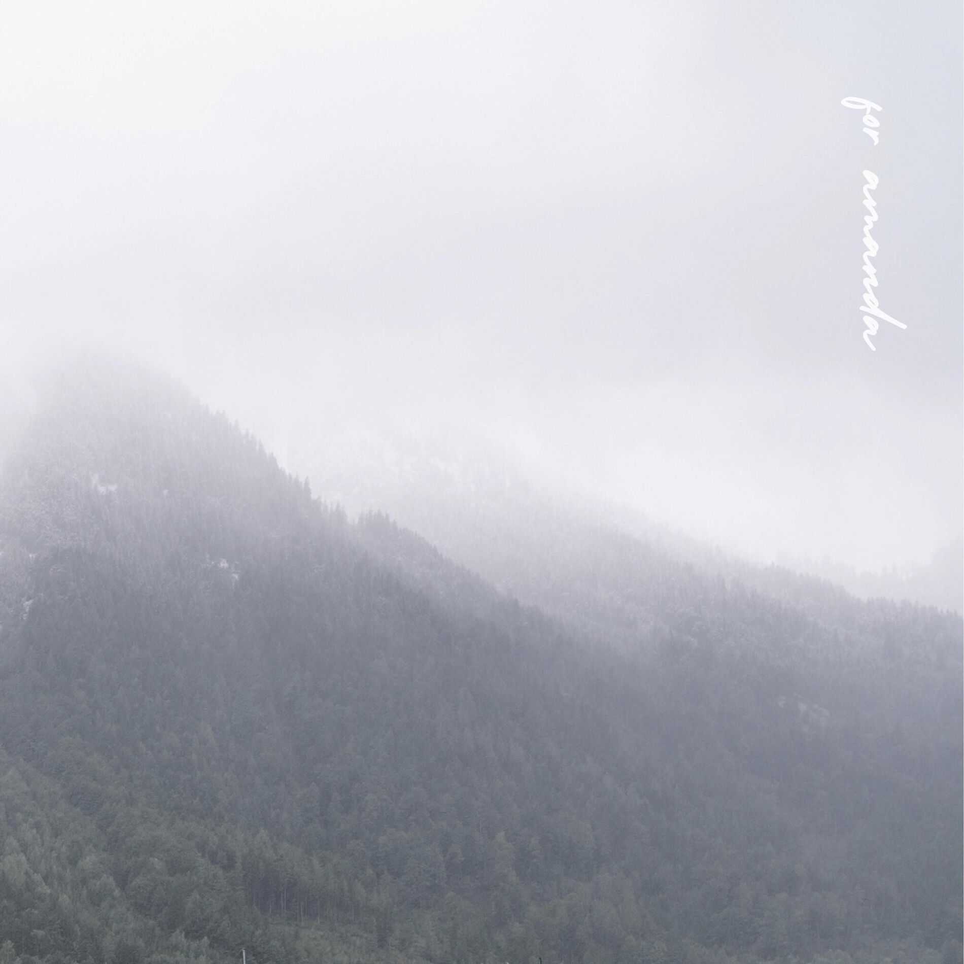 Album cover of For Amanda