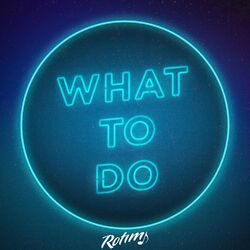 Cover of What To Do