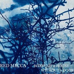 Cover of Without a House, Without a Door