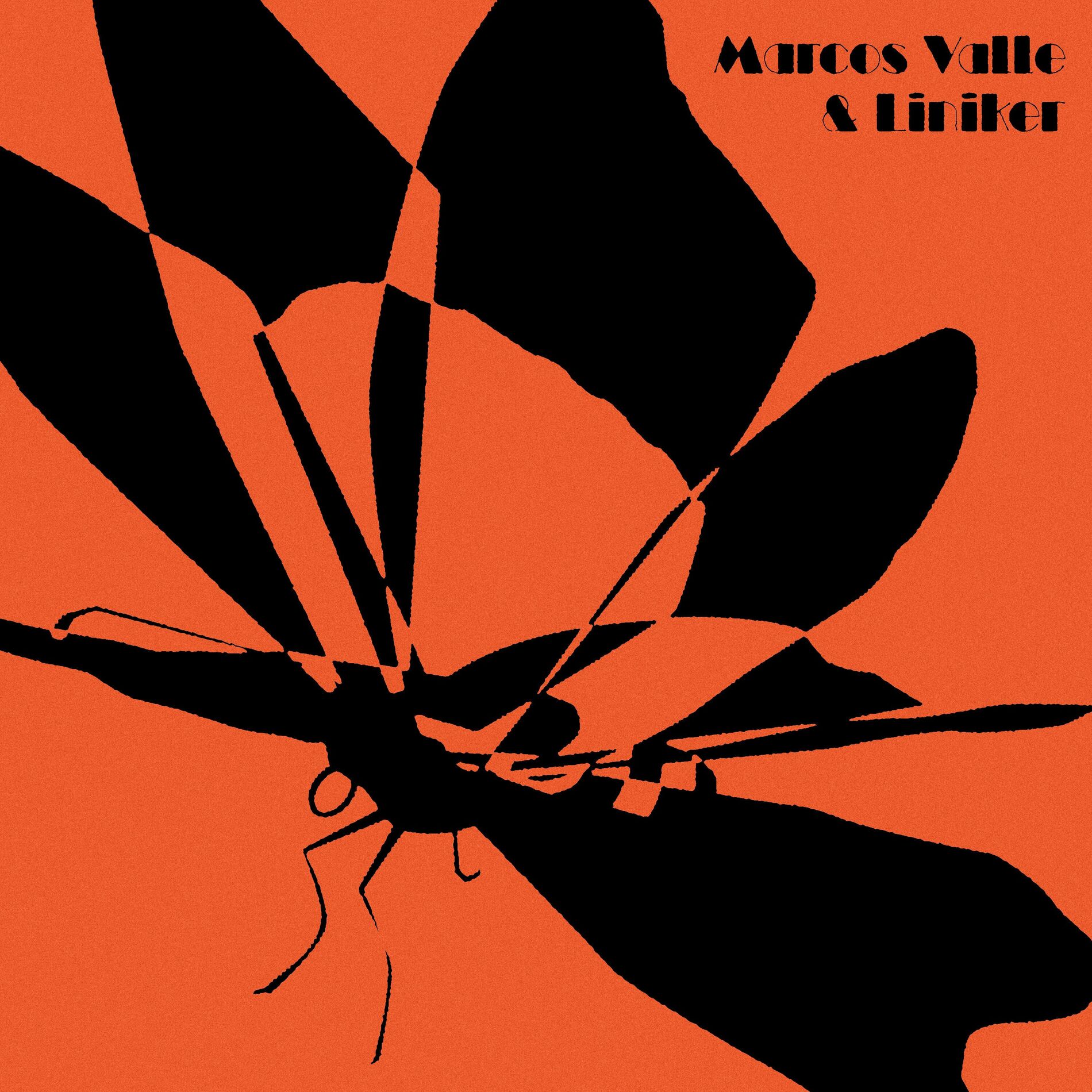 Album cover of Vida