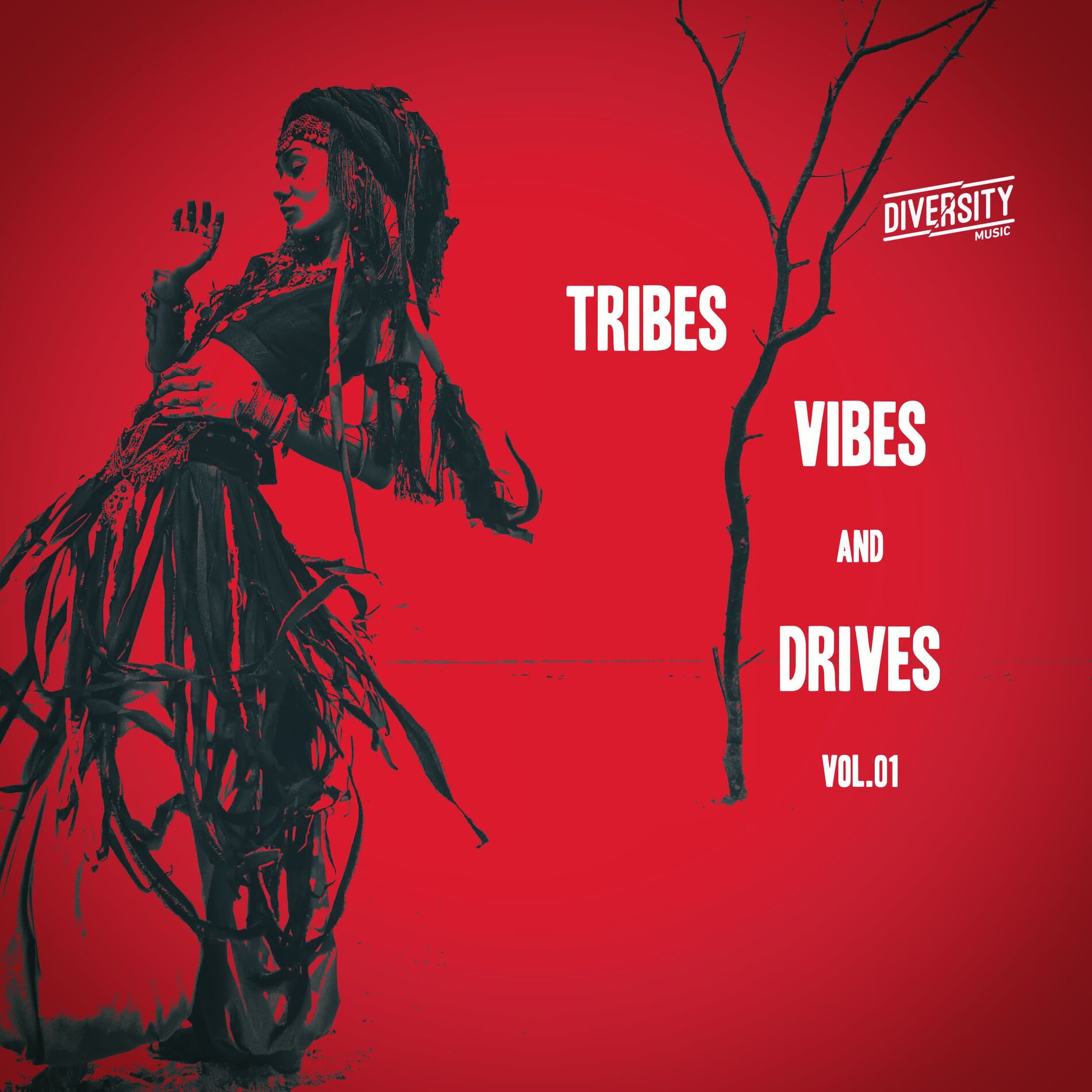 Album cover of Tribes, Vibes And Drives, Vol. 01