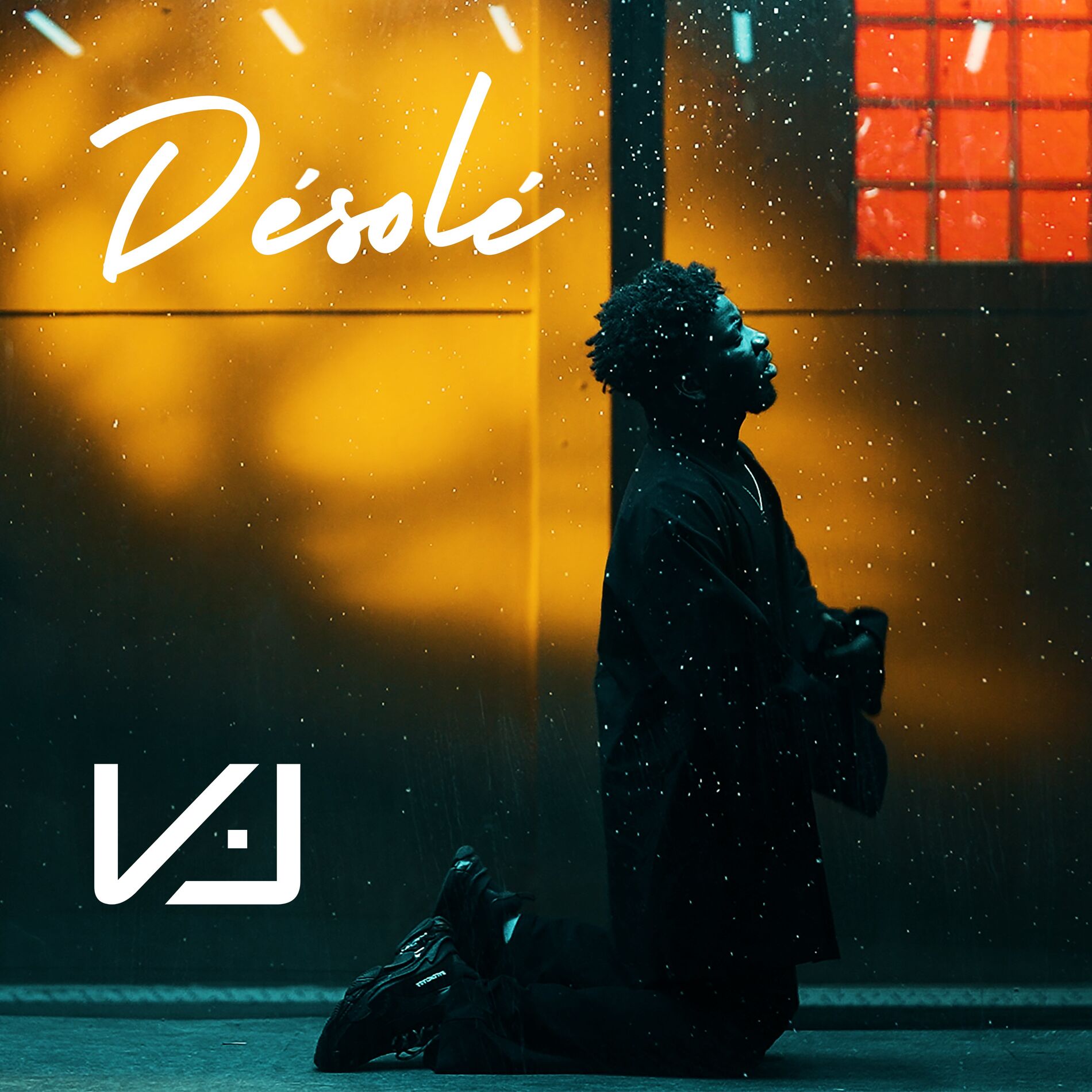 Album cover of Désolé
