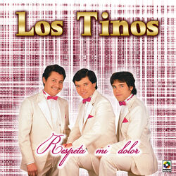 Cover of Respeta Mi Dolor