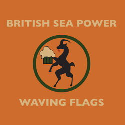 Cover of Waving Flags