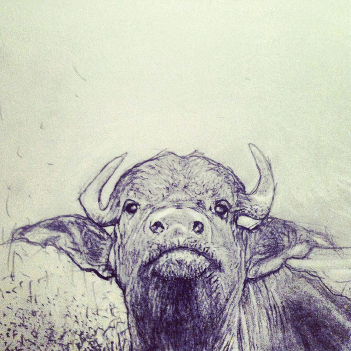 Album cover of Meat