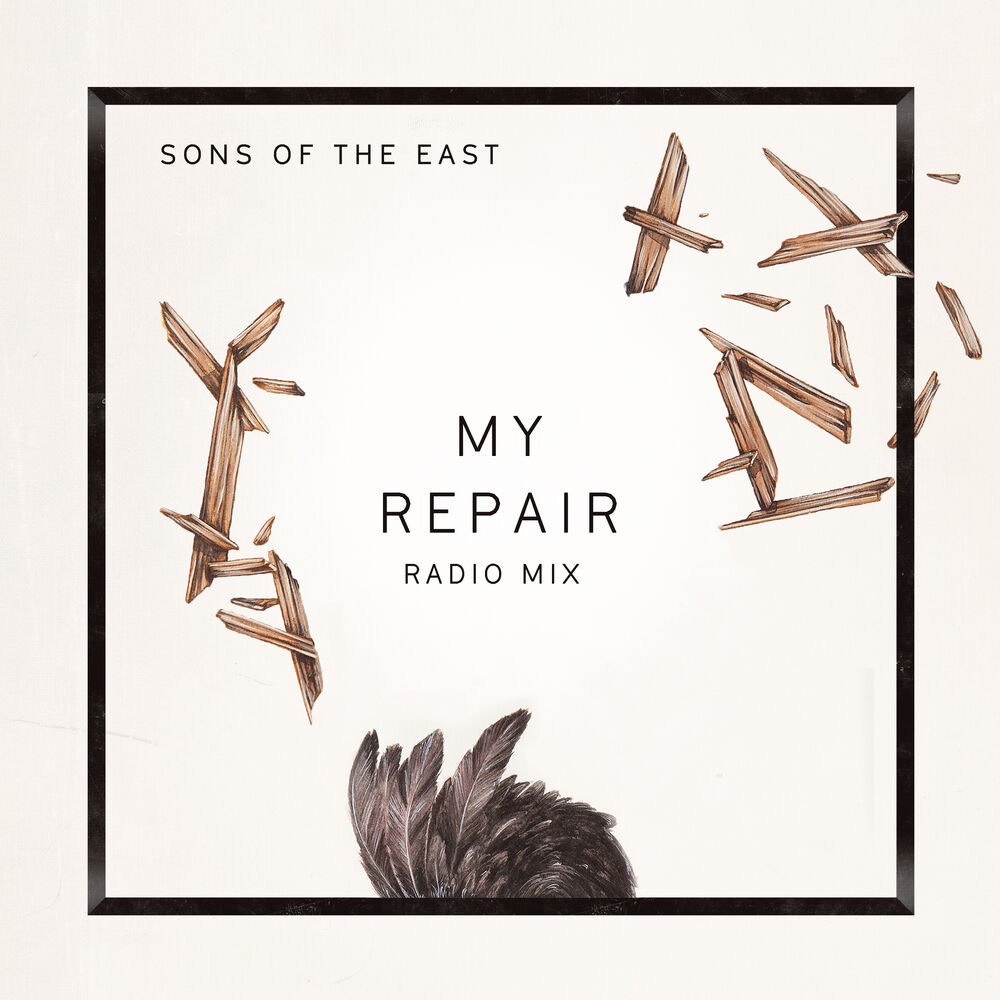 Picture of My Repair (Radio Mix)