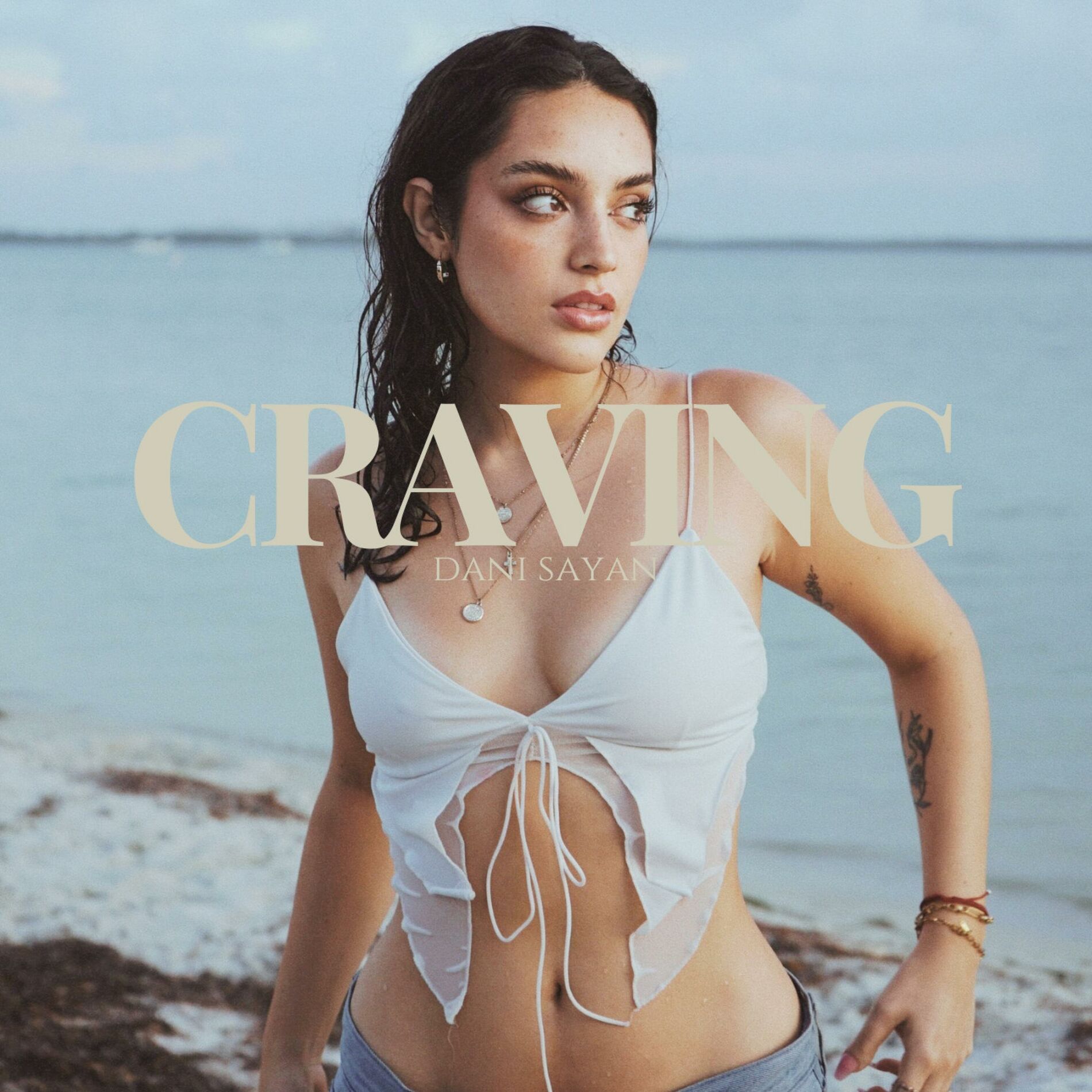Album cover of craving