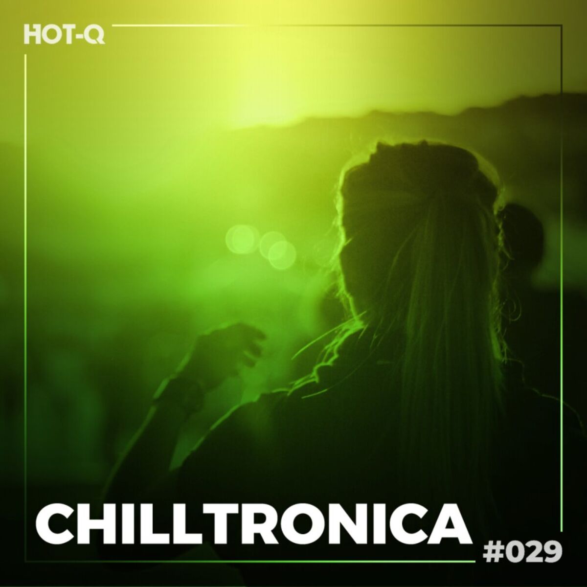 Album cover of Chilltronica 029