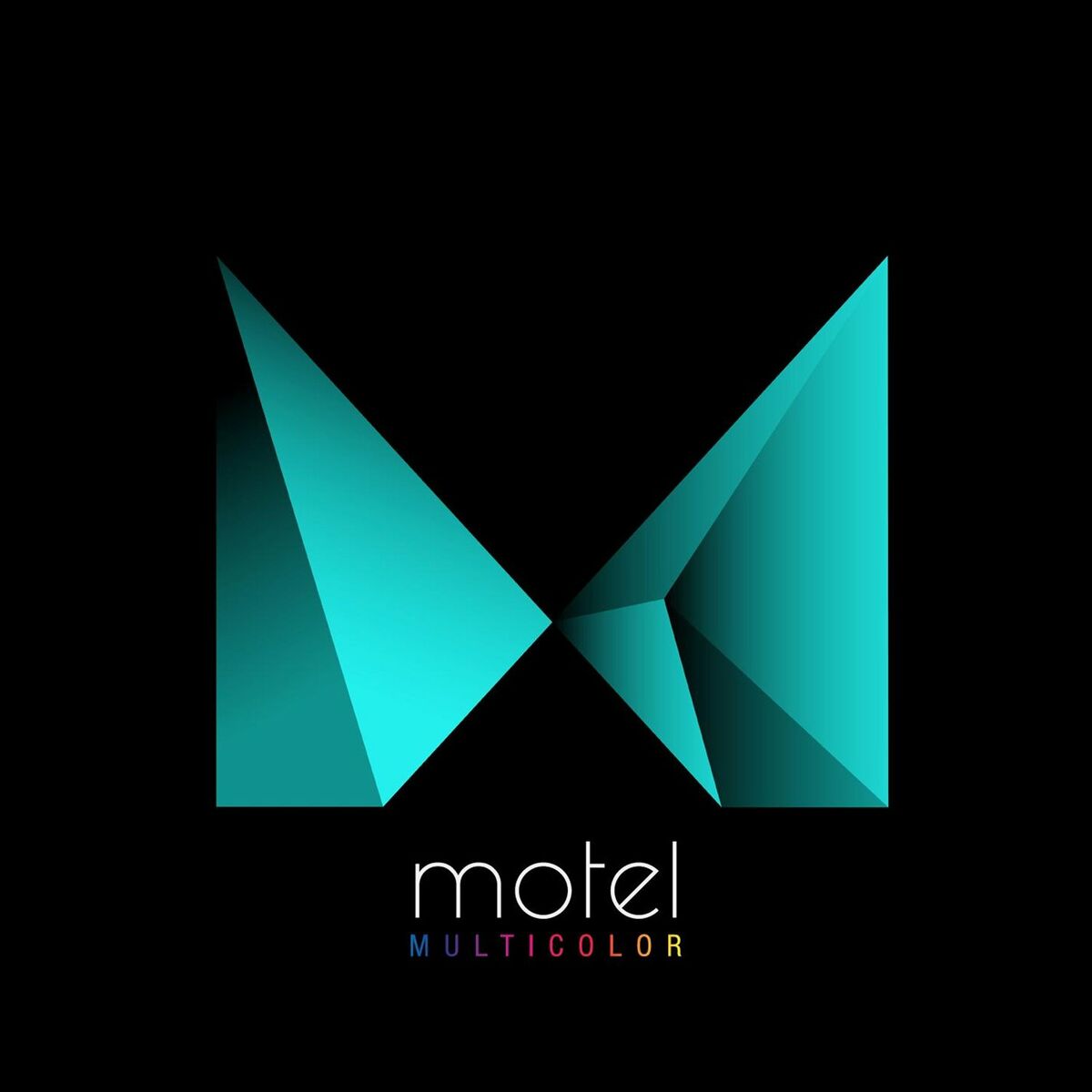 Album cover of Multicolor
