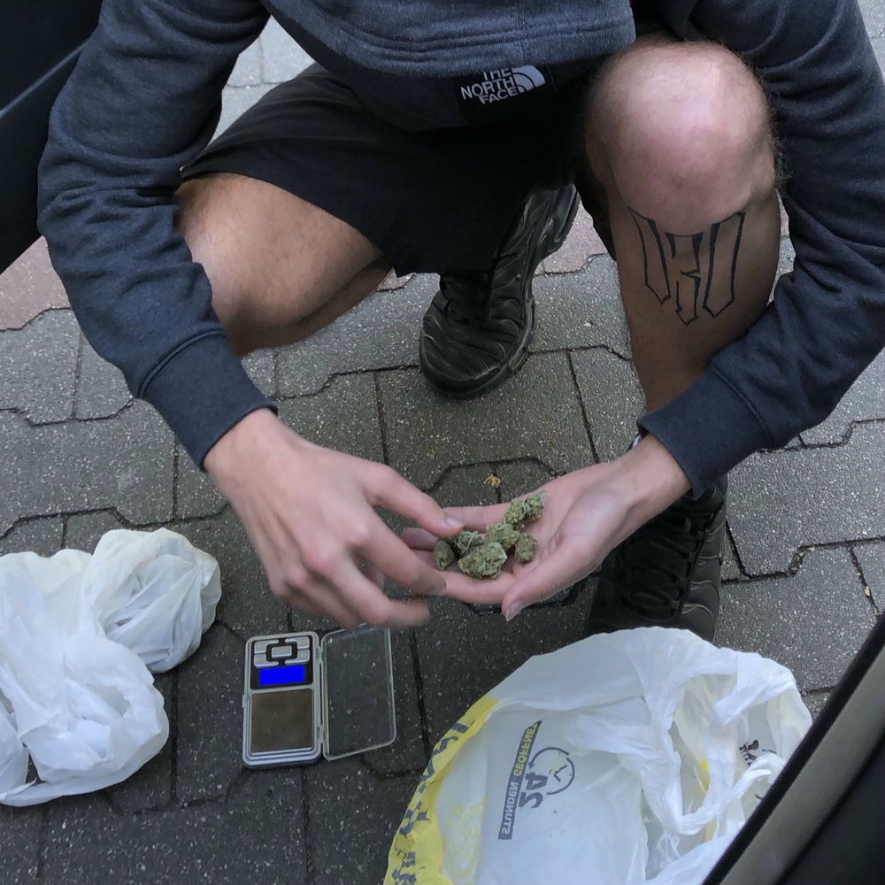 Zwannis cover