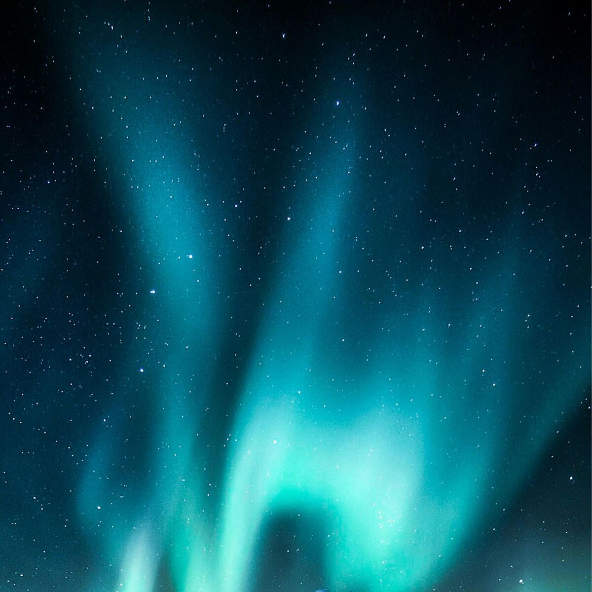 Album cover of Nordic Starlight