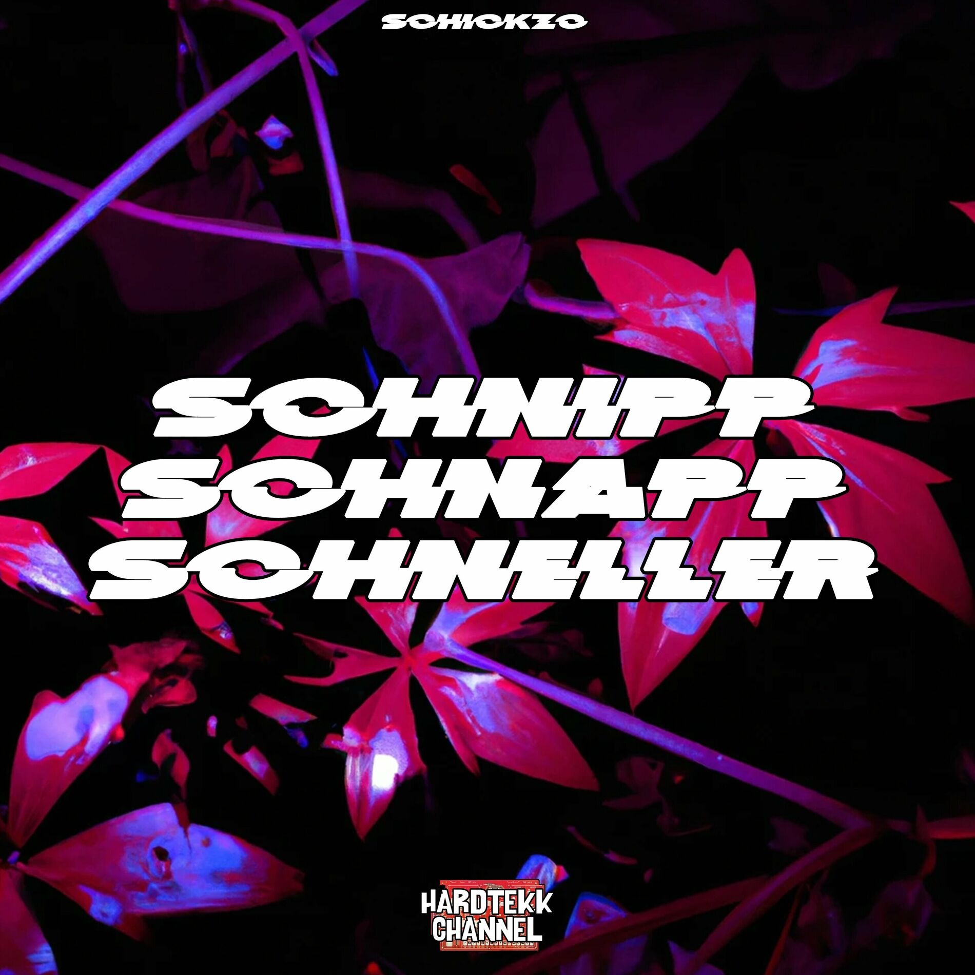Album cover of Schnipp Schnapp Schneller