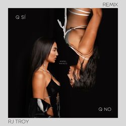 Cover of Q Si Q No (RJ Troy Remix)