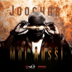 Cover of Moi aussi