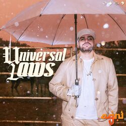 Cover of Universal Laws