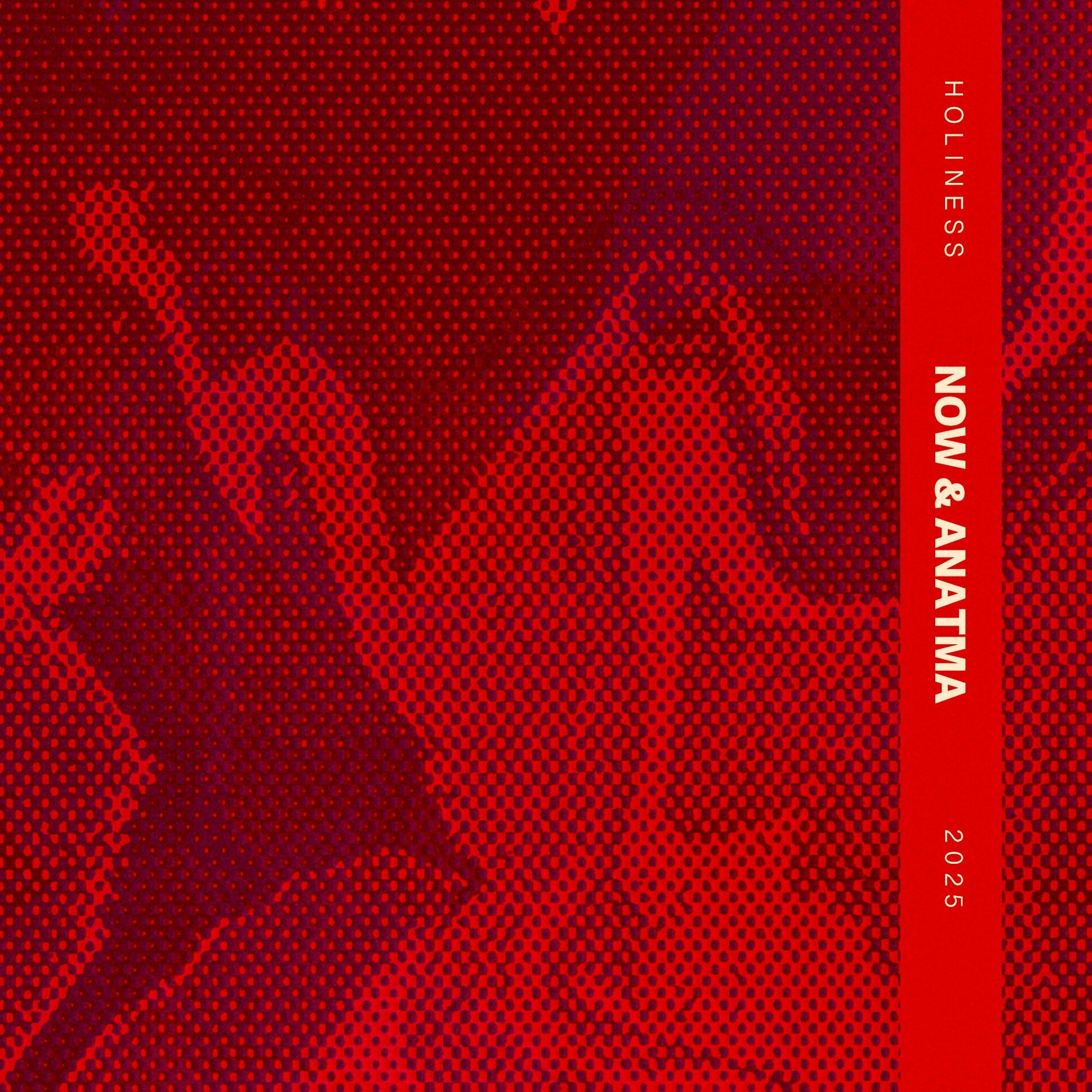 Album cover of Holiness