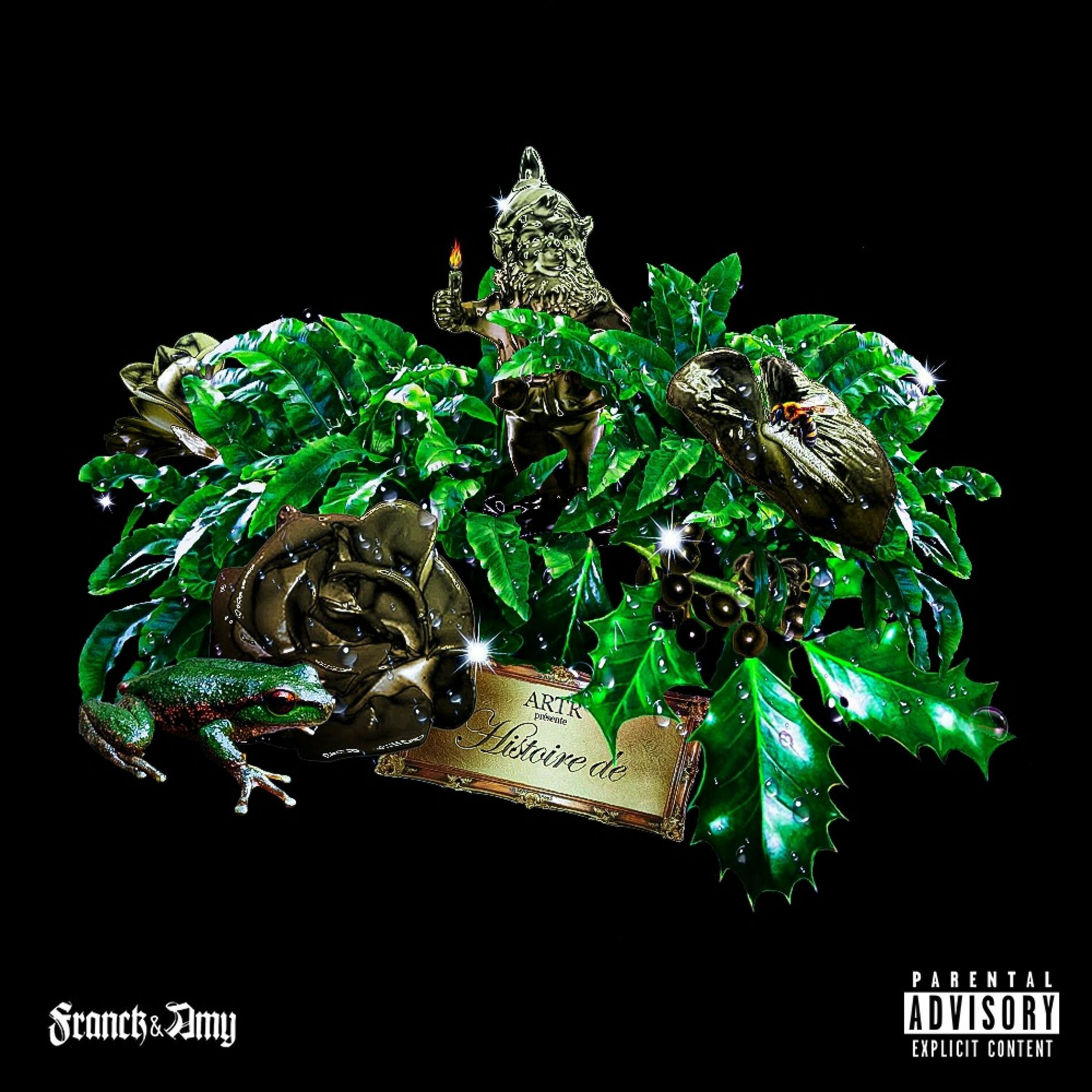 Album cover of Histoire de