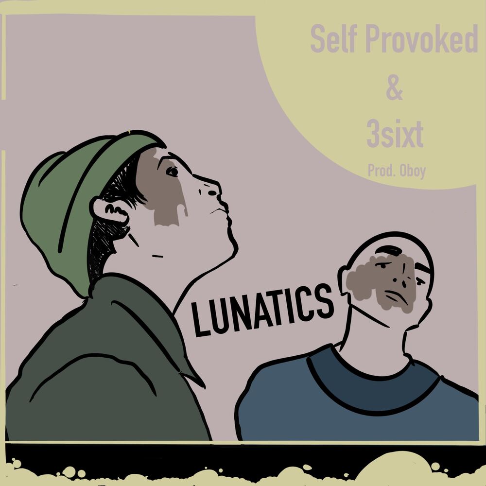 Picture of Lunatics