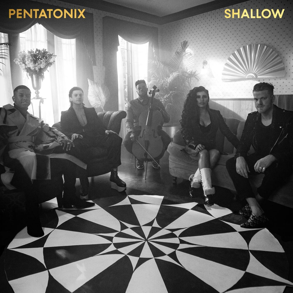 Album cover of Shallow