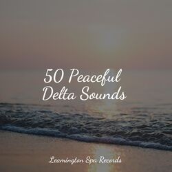 Cover of 50 Peaceful Delta Sounds