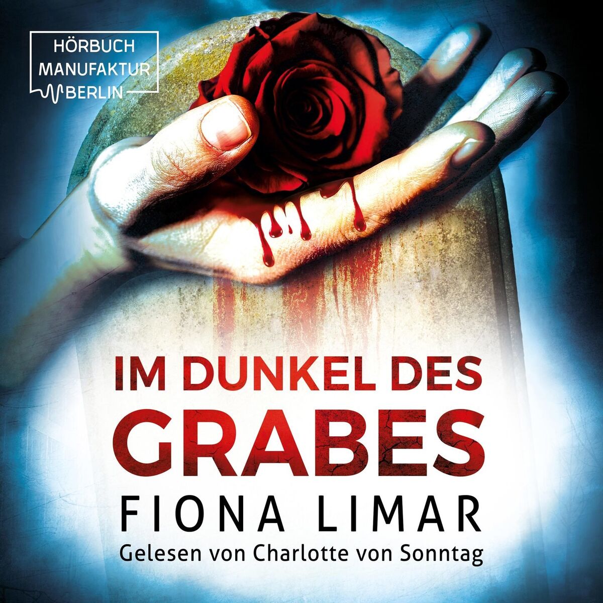Album cover of Kapitel 1 - Im Dunkel des Grabes - Brandenburg-Krimis, Band 4