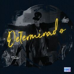 Cover of Determinado