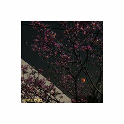 Cover of sem2.mp3