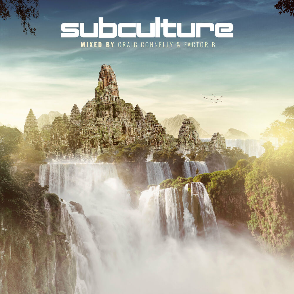 Picture of Subculture mixed by Craig Connelly & Factor B