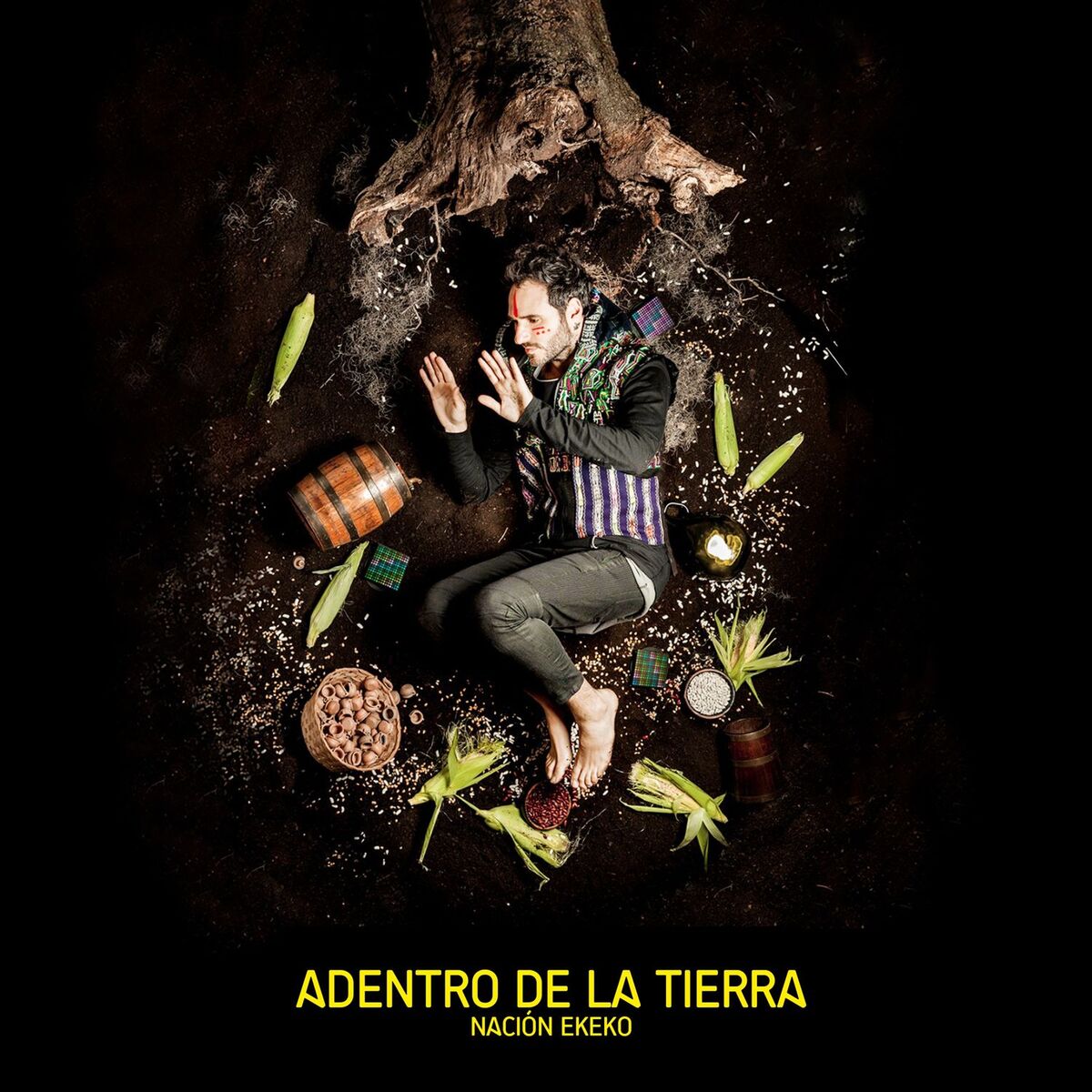 Album cover of Adentro de la Tierra