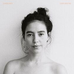 Cover of Safe Ground