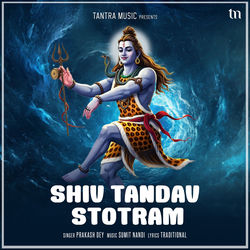 Cover of Shiv Tandav Stotram by undefined