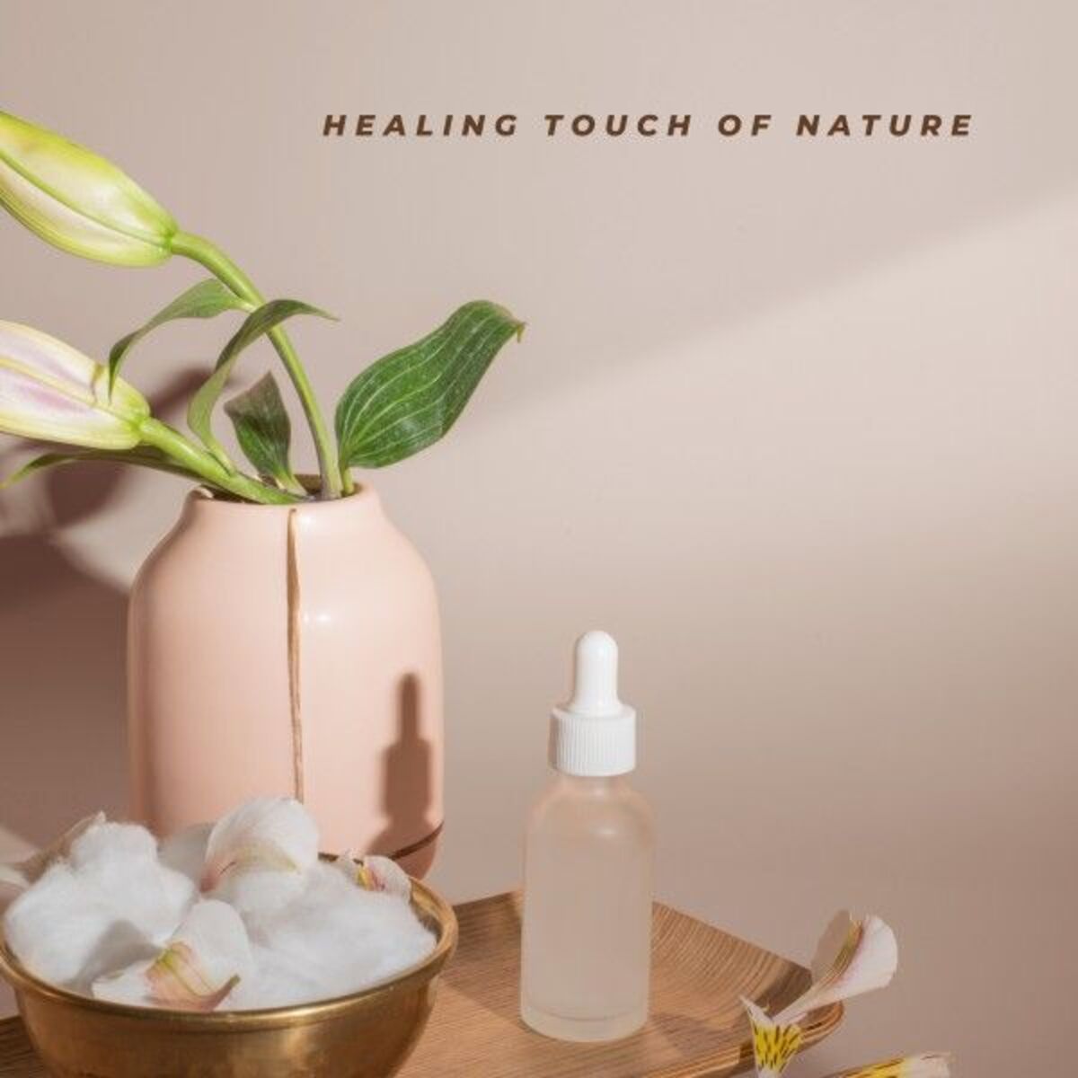 Album cover of Healing Touch of Nature