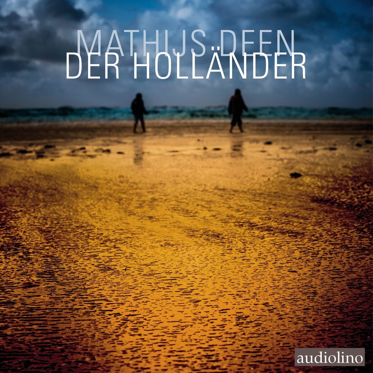 Album cover of Der Holländer (Ungekürzt)