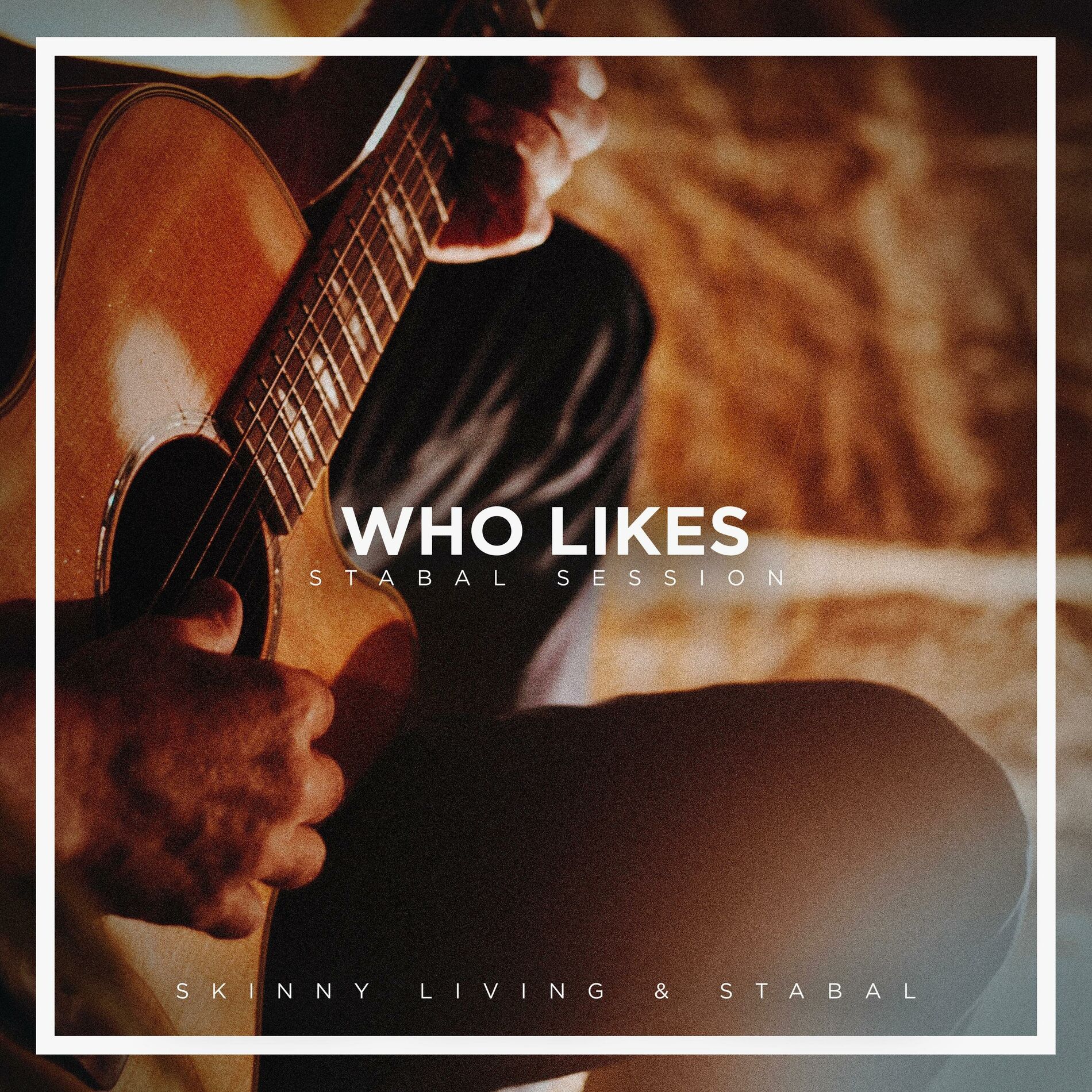 Album cover of Who Likes (Stabal Session)