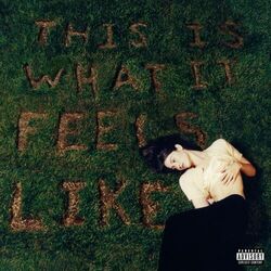 Cover of This Is What It Feels Like